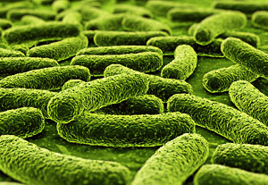 ILT's germicidal & disinfection section